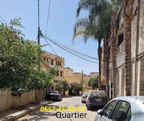 Location Local Alger Gue de constantine