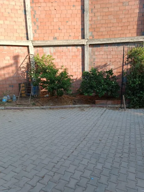 Vente Villa Blida El affroun