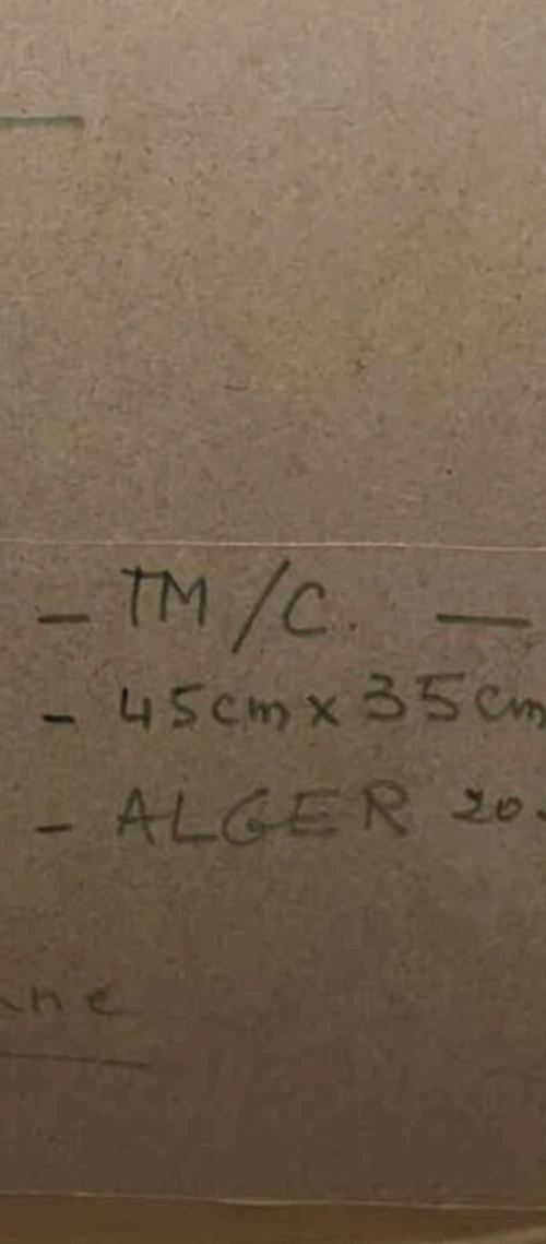 Tableau peintre algérien