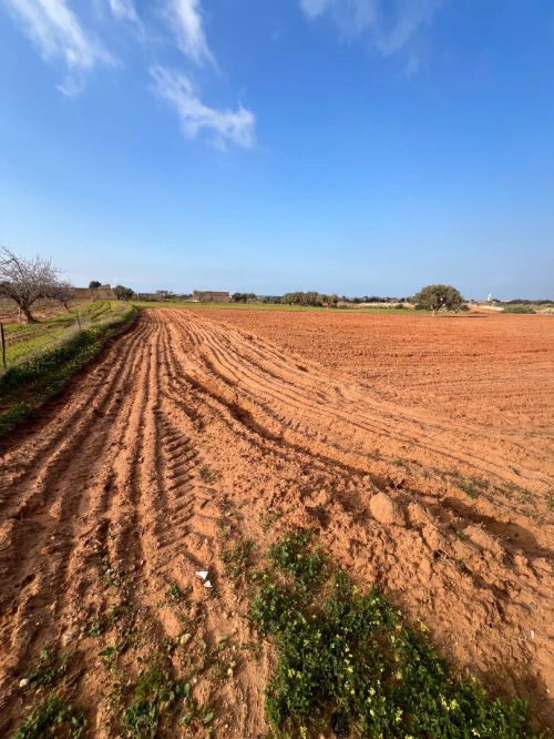 Vente Terrain Mostaganem Sidi lakhdaara