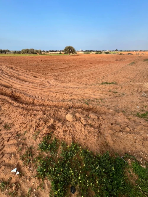 Vente Terrain Mostaganem Sidi lakhdaara