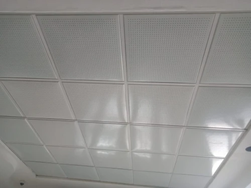 Faux plafonds