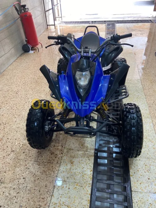 Viva motor Quad 2016