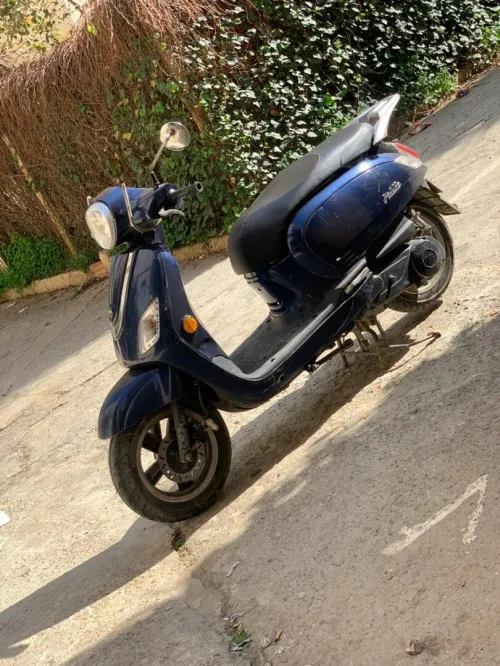 Sym Fiddel 3 2019