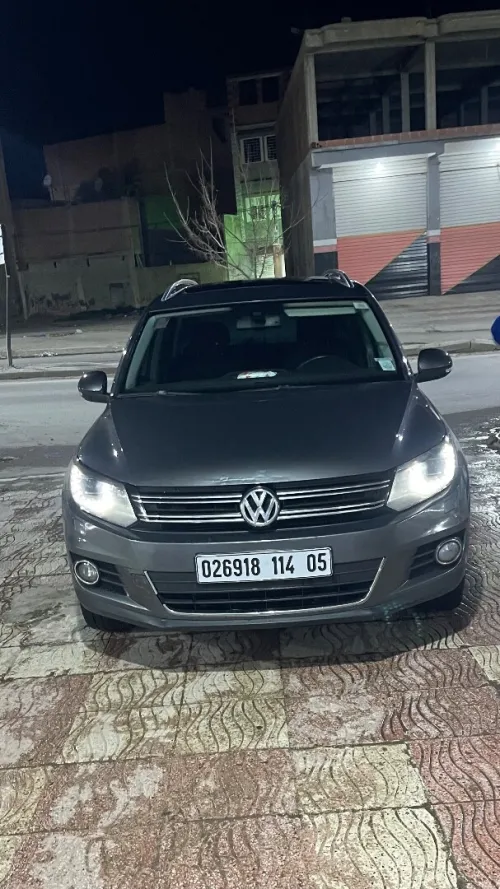 Volkswagen Tiguan 2014 Tiguan