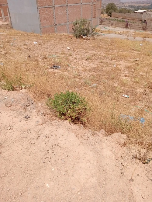 Vente Terrain Tlemcen Tlemcen