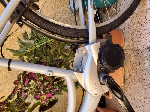 Velo