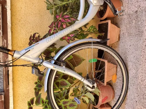 Velo