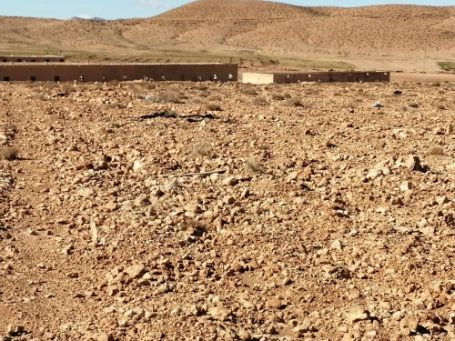 Vente Terrain M'Sila Oultene