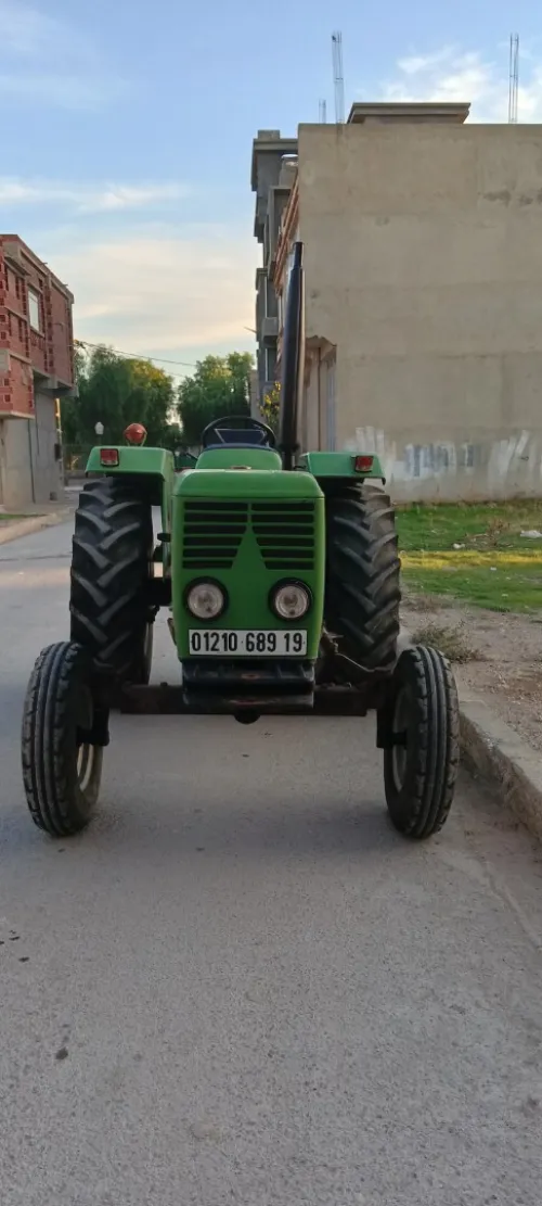 Cirta 1989
