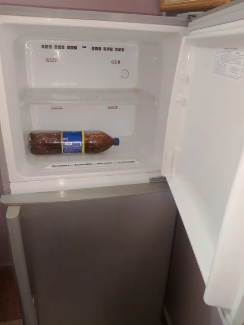 Frigidaire Samsung 500L