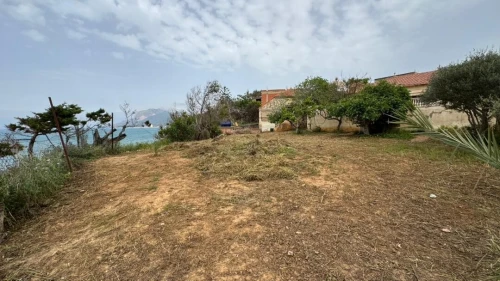 Vente Terrain Chlef Tenes