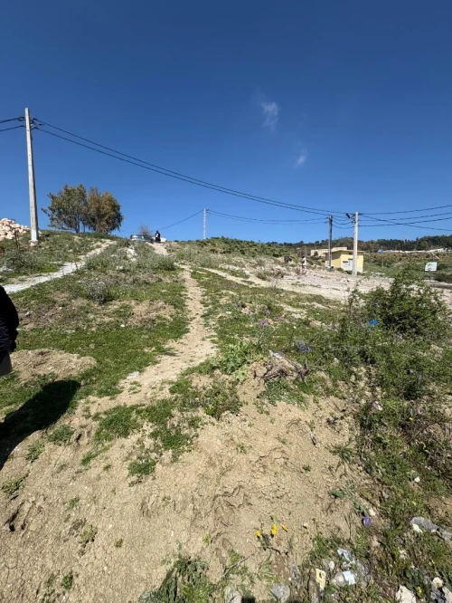 Vente Terrain Constantine Constantine