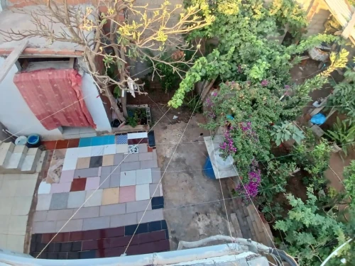 Vente Appartement Tipaza Bou ismail