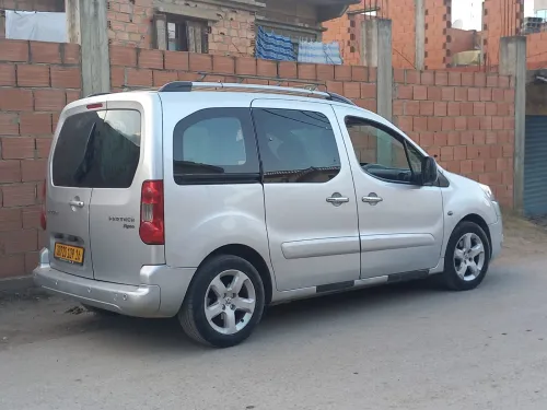 Peugeot Partner 2009 Tepee