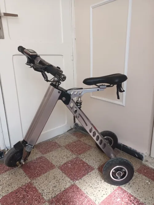 Tricycle électrique 