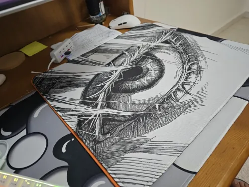 tapis souris / mouse pad / gojo