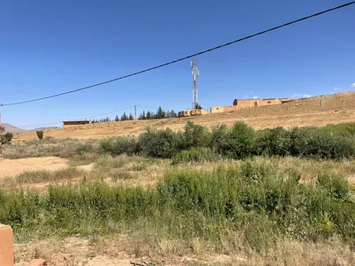 Vente Terrain Agricole El Bayadh El bayadh