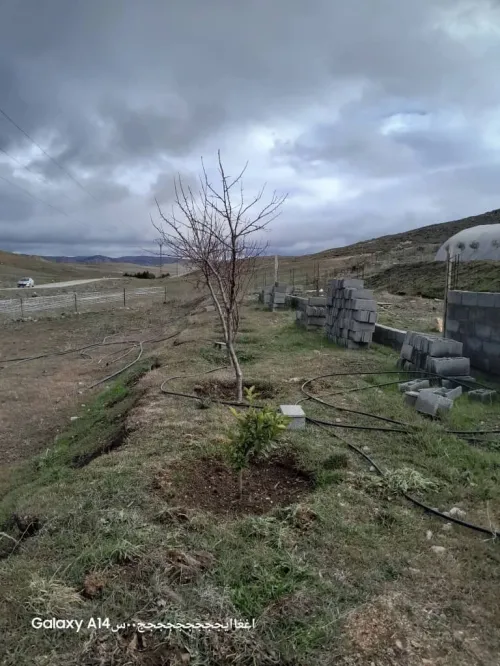 Vente Terrain Agricole Sétif Bir el arch