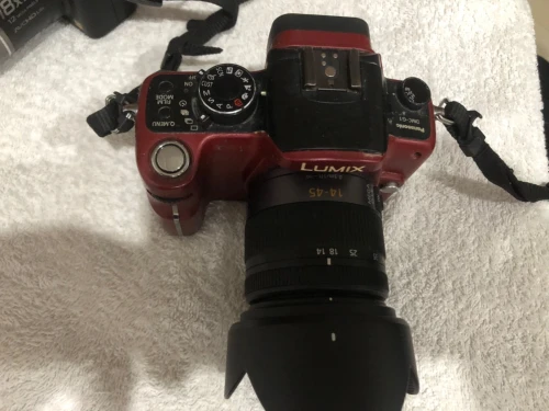 Panasonic Lumix g1 / Lumix Fz 45-38-18-Tz3