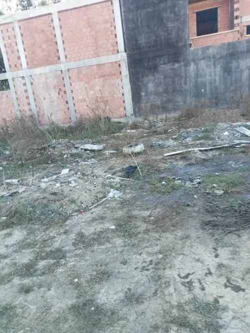 Cherche achat Terrain Alger Birtouta