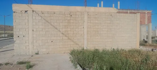 Vente Terrain Oum El Bouaghi Ain zitoun