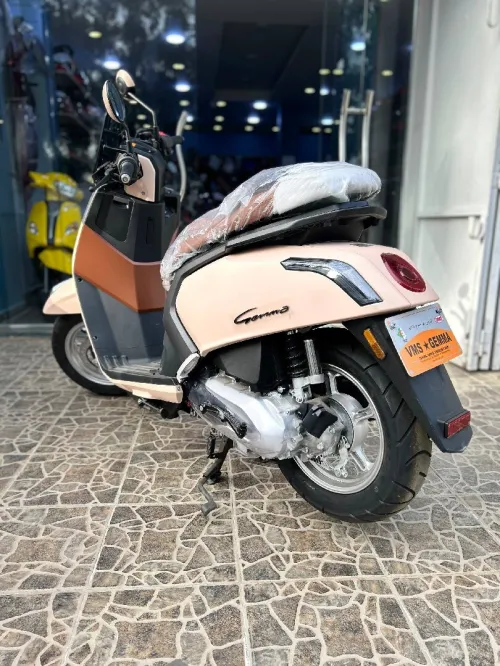 Vms Gemma 2026