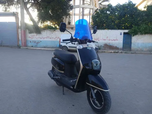 Estat Vms 2023