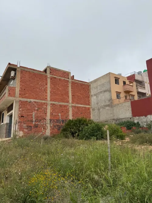 Vente Terrain Tlemcen Marsa ben mhidi