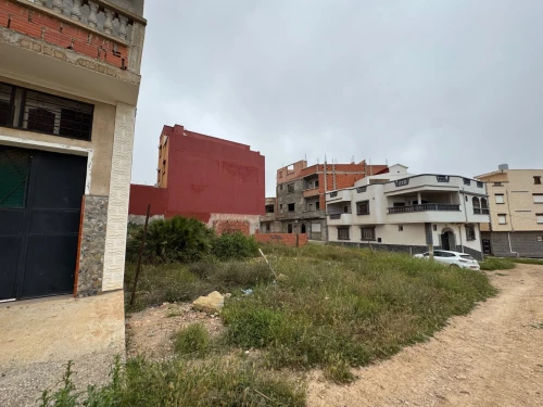 Vente Terrain Tlemcen Marsa ben mhidi