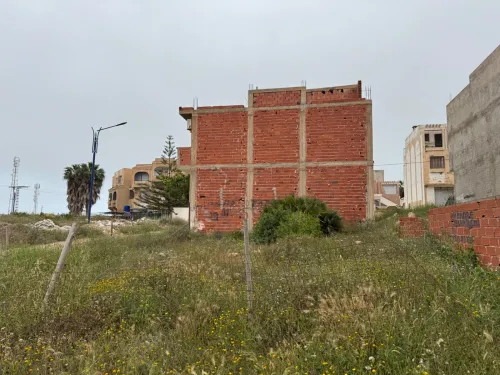 Vente Terrain Tlemcen Marsa ben mhidi