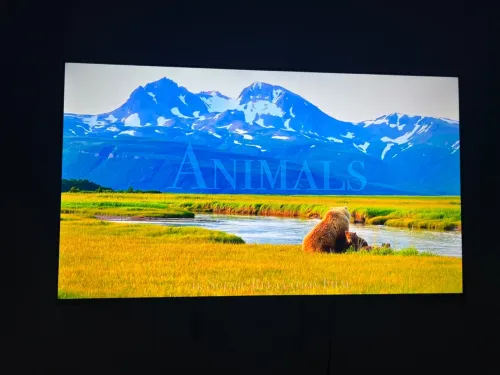 Tv iris 50 pouces