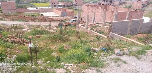 Vente Terrain Tlemcen Mansourah