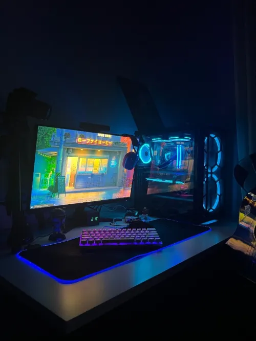 PC gamer