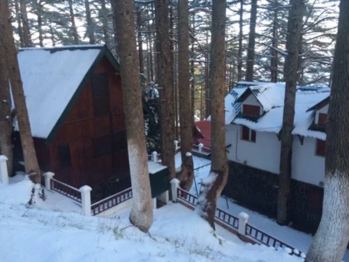 Vente bien immobilier Blida Blida