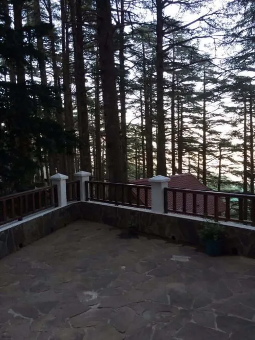 Vente bien immobilier Blida Chrea