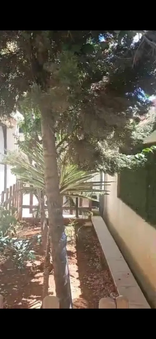 Vente Villa Tipaza Douaouda