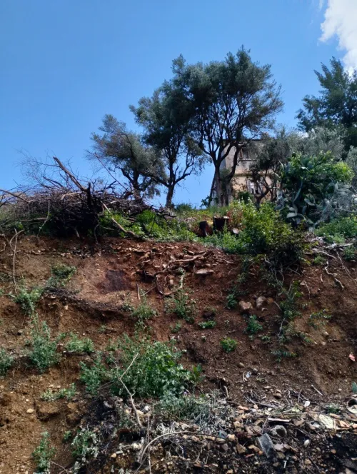 Vente Carcasse Blida Blida