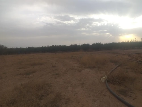 Vente Terrain Agricole Sidi Bel Abbès Sidi khaled