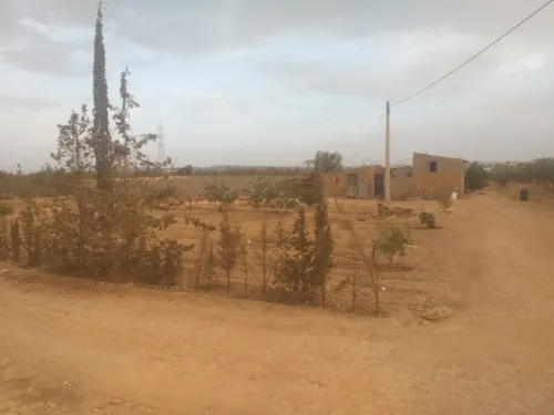 Vente Terrain Agricole Sidi Bel Abbès Sidi khaled