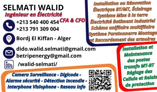 Travaux Électricité Bâtiment Industriel Caméra Surveillance Alarme Sécurité Contrôle d'Accès Réseau