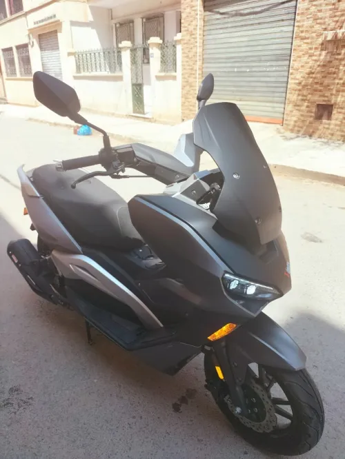 VMS V MAX 2024