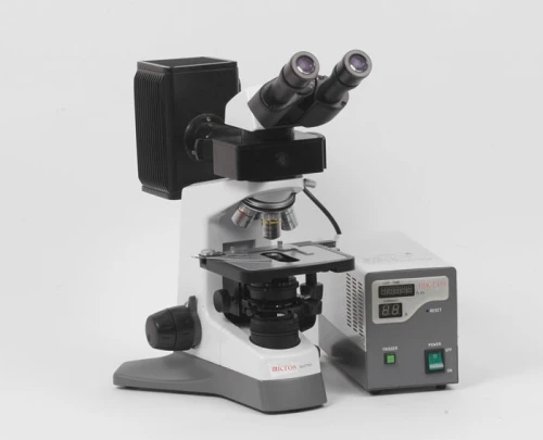 MICROSCOPE A FLUORESCENCE DAFFODIL 