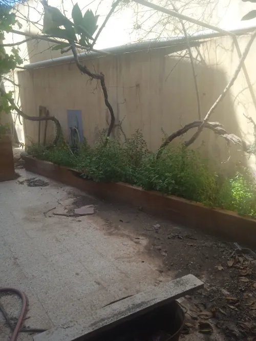Vente Villa Sidi Bel Abbès Sidi bel abbes
