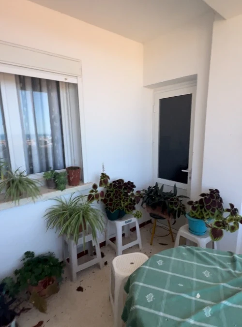Vente Appartement F6 Boumerdès Boumerdes