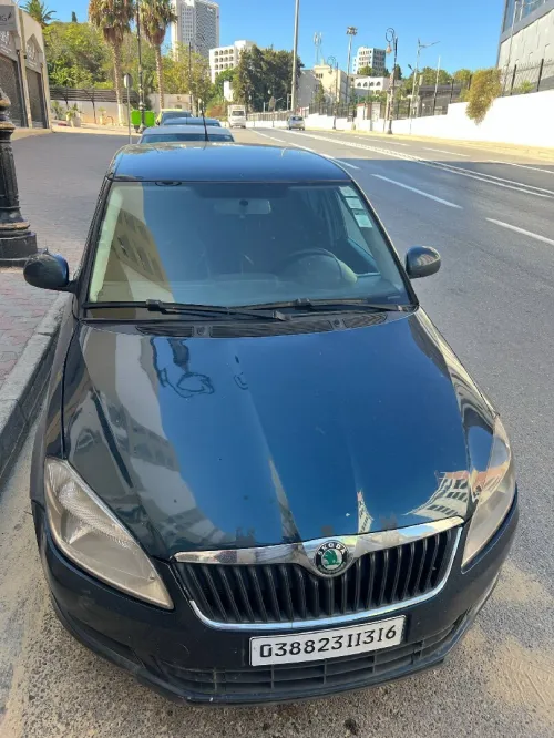 Skoda Fabia 2013 