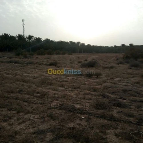 Vente Terrain Blida Djebara
