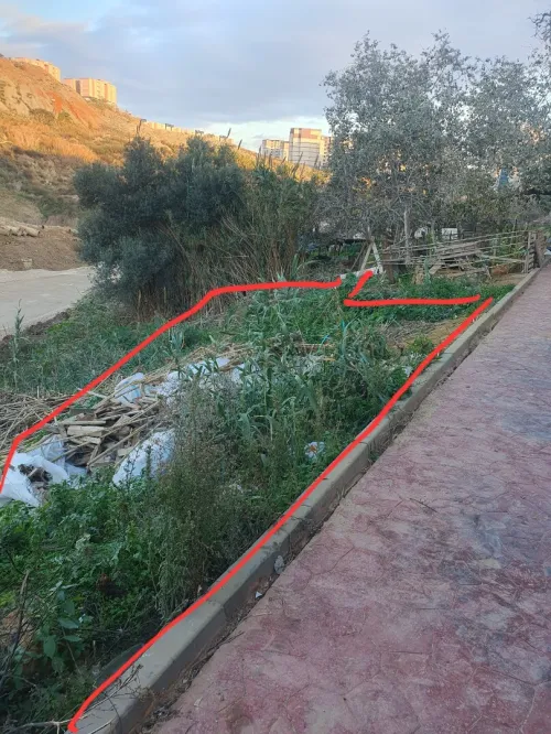 Vente Terrain Alger Mahelma