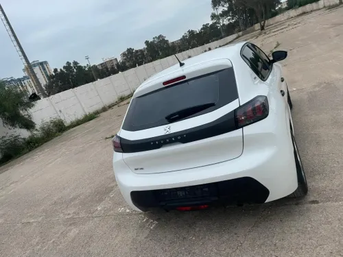 Peugeot 208 2022 Fluck