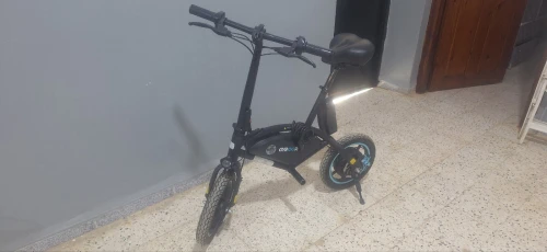 DRAISIENNE ÉLECTRIQUE GYROOR C147 350 W NOIR